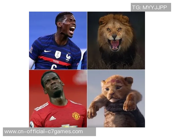 动物维护安排打击博格巴出资赛驼队，并引荐他代替项目骑木马